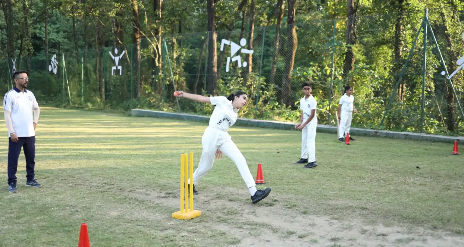 Cricket