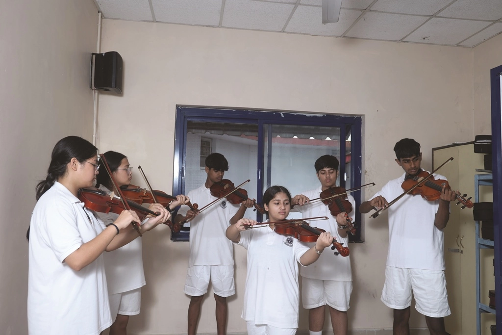 Violin